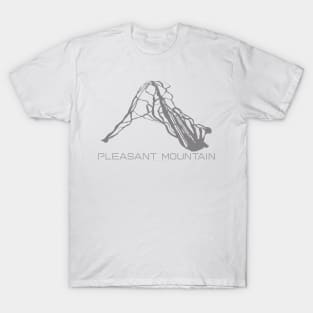 Pleasant Mountain Resort 3D T-Shirt